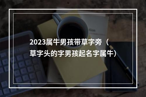 2023属牛男孩带草字旁（草字头的字男孩起名字属牛）