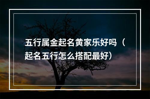 五行属金起名黄家乐好吗（起名五行怎么搭配最好）