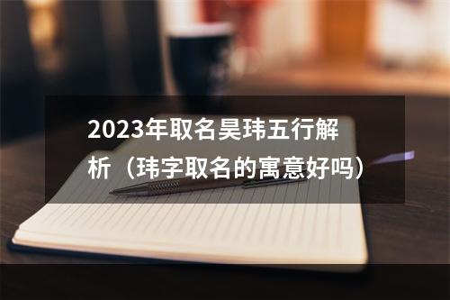2023年取名昊玮五行解析（玮字取名的寓意好吗）