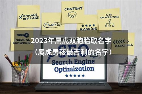 2023年属虎双胞胎取名字（属虎男孩最吉利的名字）
