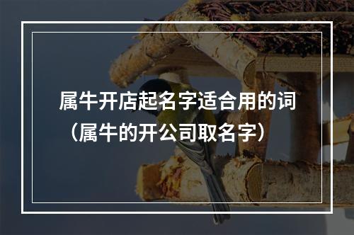 属牛开店起名字适合用的词（属牛的开公司取名字）