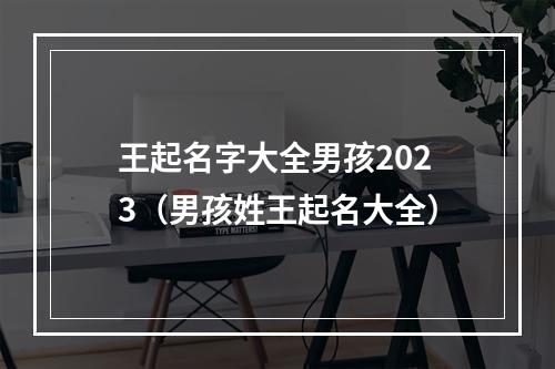 王起名字大全男孩2023（男孩姓王起名大全）