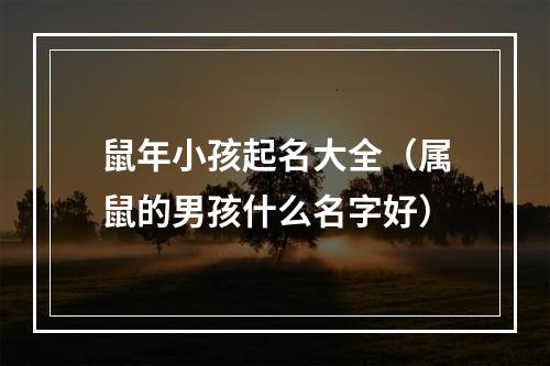 鼠年小孩起名大全（属鼠的男孩什么名字好）