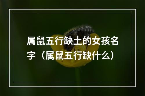 属鼠五行缺土的女孩名字（属鼠五行缺什么）