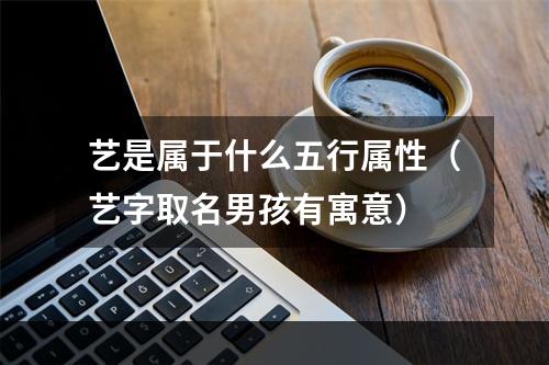 艺是属于什么五行属性（艺字取名男孩有寓意）