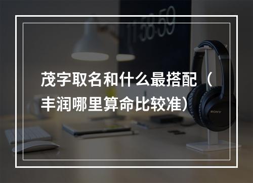 茂字取名和什么最搭配（丰润哪里算命比较准）