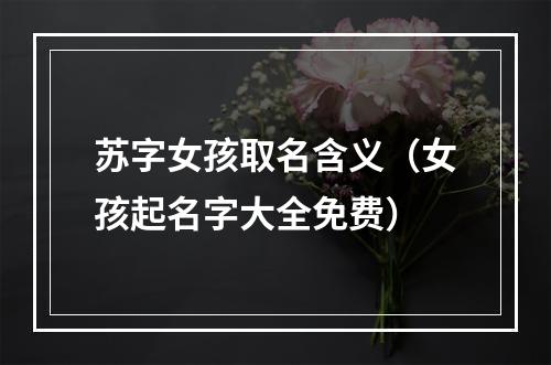 苏字女孩取名含义（女孩起名字大全免费）