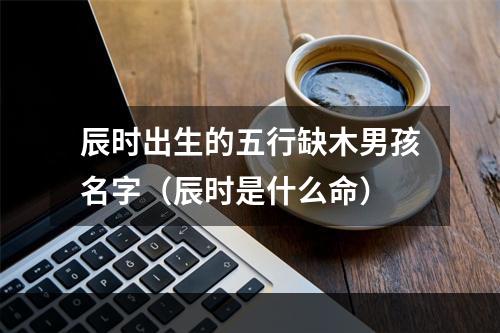 辰时出生的五行缺木男孩名字（辰时是什么命）
