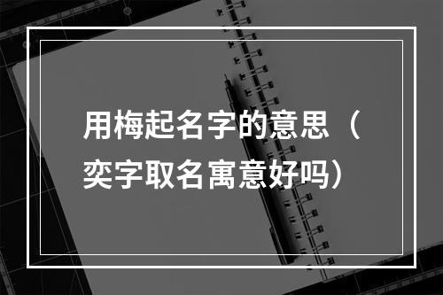 用梅起名字的意思（奕字取名寓意好吗）