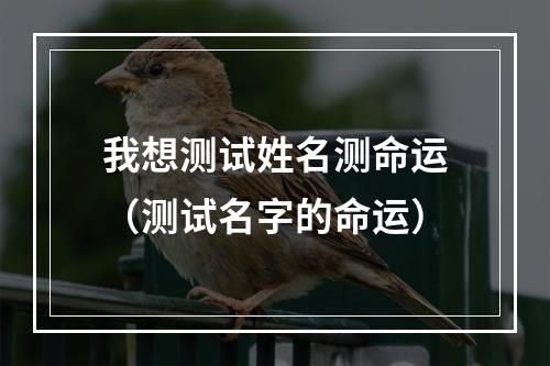 我想测试姓名测命运（测试名字的命运）