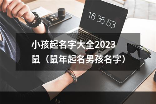 小孩起名字大全2023鼠（鼠年起名男孩名字）