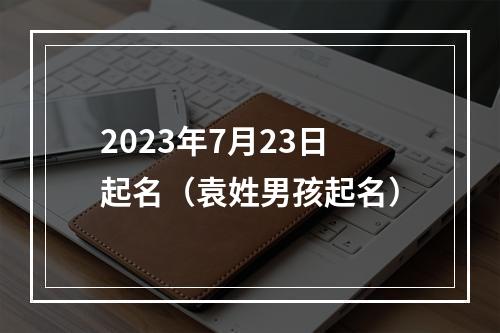 2023年7月23日起名（袁姓男孩起名）