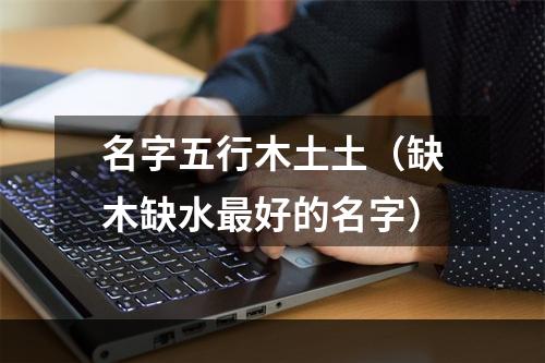 名字五行木土土（缺木缺水最好的名字）