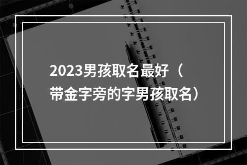 2023男孩取名最好（带金字旁的字男孩取名）