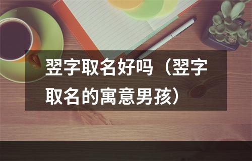 翌字取名好吗（翌字取名的寓意男孩）