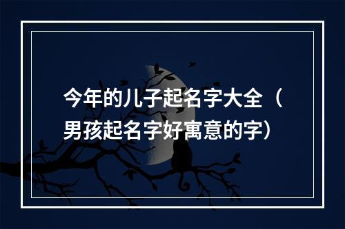 今年的儿子起名字大全（男孩起名字好寓意的字）