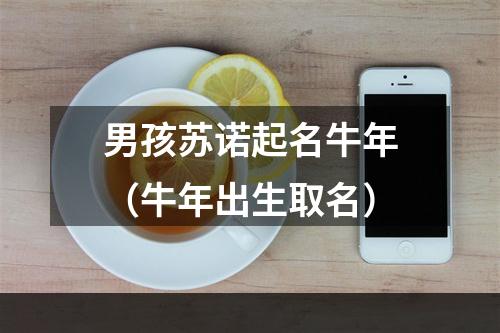 男孩苏诺起名牛年（牛年出生取名）