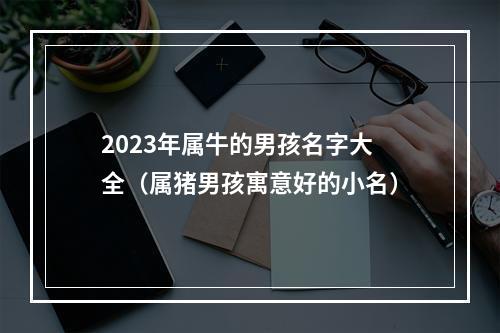 2023年属牛的男孩名字大全（属猪男孩寓意好的小名）