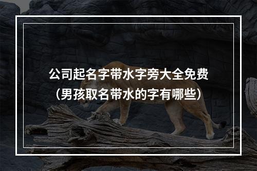 公司起名字带水字旁大全免费（男孩取名带水的字有哪些）