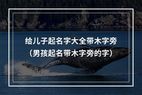 给儿子起名字大全带木字旁（男孩起名带木字旁的字）