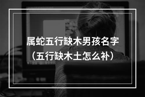 属蛇五行缺木男孩名字（五行缺木土怎么补）