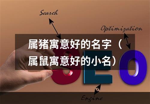 属猪寓意好的名字（属鼠寓意好的小名）