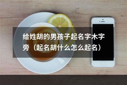 给姓胡的男孩子起名字木字旁（起名胡什么怎么起名）