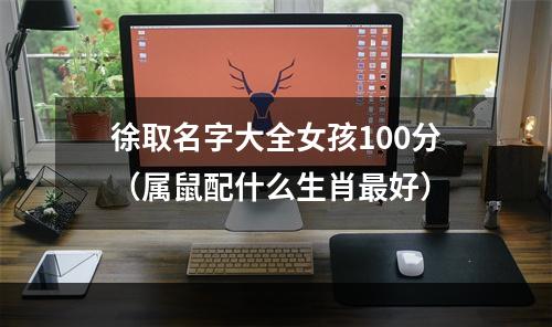 徐取名字大全女孩100分（属鼠配什么生肖最好）