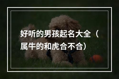 好听的男孩起名大全（属牛的和虎合不合）