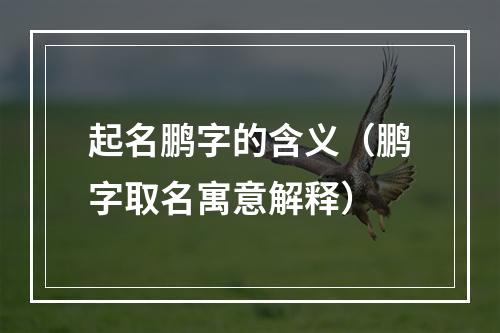 起名鹏字的含义（鹏字取名寓意解释）
