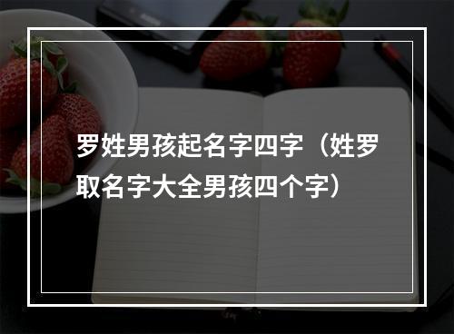 罗姓男孩起名字四字（姓罗取名字大全男孩四个字）