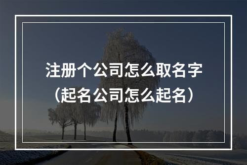 注册个公司怎么取名字（起名公司怎么起名）