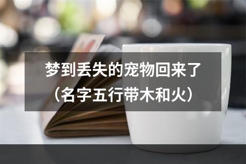 梦到丢失的宠物回来了（名字五行带木和火）