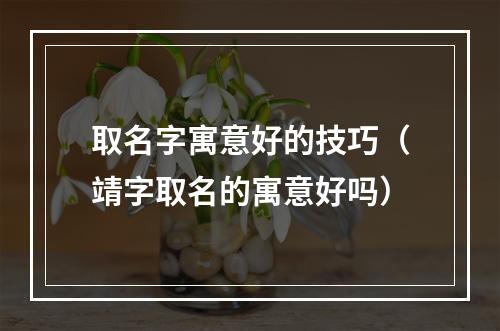 取名字寓意好的技巧（靖字取名的寓意好吗）