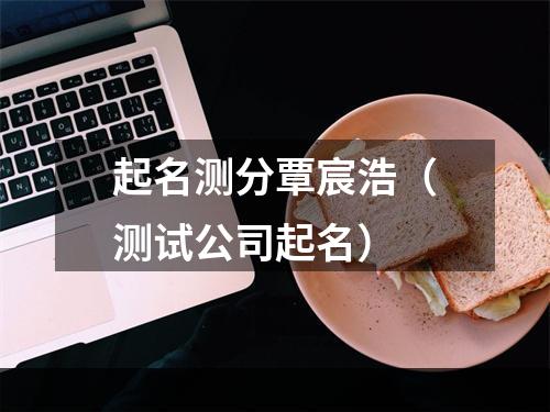 起名测分覃宸浩（测试公司起名）