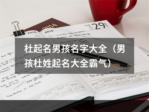 杜起名男孩名字大全（男孩杜姓起名大全霸气）