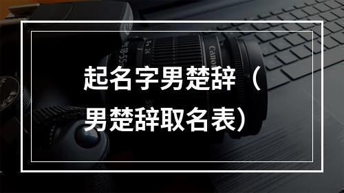 起名字男楚辞（男楚辞取名表）