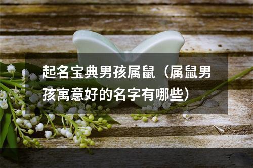 起名宝典男孩属鼠（属鼠男孩寓意好的名字有哪些）