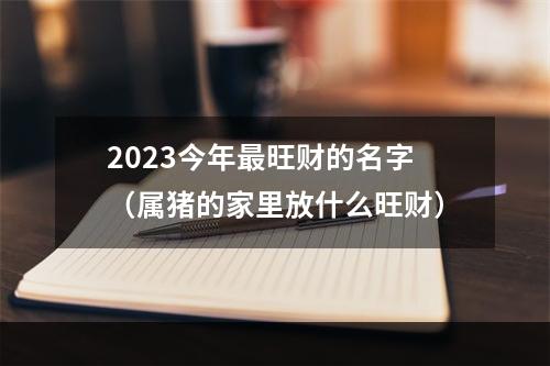 2023今年最旺财的名字（属猪的家里放什么旺财）