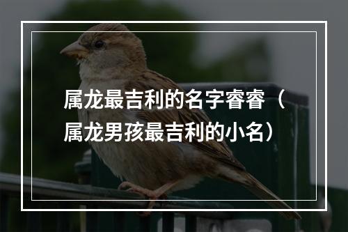 属龙最吉利的名字睿睿（属龙男孩最吉利的小名）