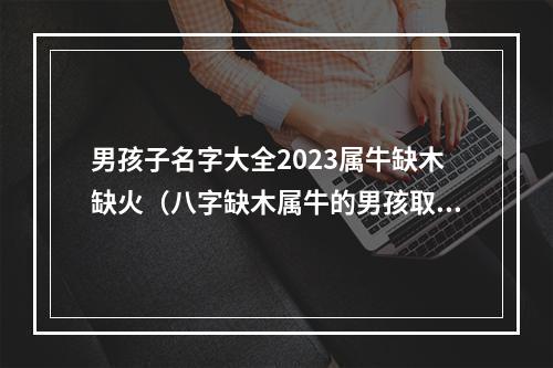 男孩子名字大全2023属牛缺木缺火（八字缺木属牛的男孩取名）
