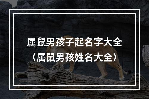 属鼠男孩子起名字大全（属鼠男孩姓名大全）