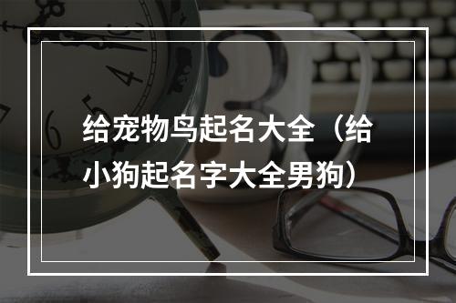 给宠物鸟起名大全（给小狗起名字大全男狗）