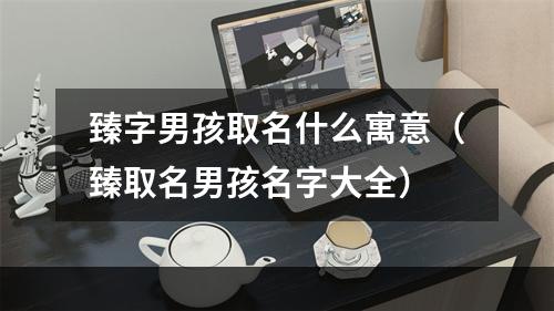 臻字男孩取名什么寓意（臻取名男孩名字大全）