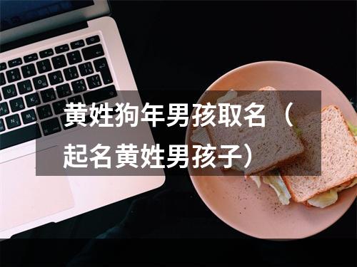 黄姓狗年男孩取名（起名黄姓男孩子）