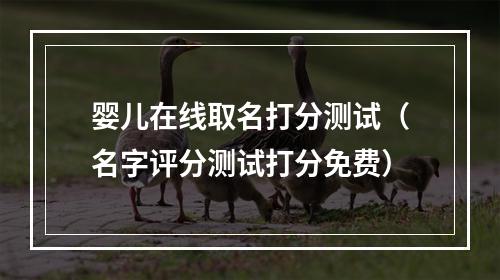 婴儿在线取名打分测试（名字评分测试打分免费）