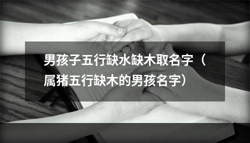 男孩子五行缺水缺木取名字（属猪五行缺木的男孩名字）
