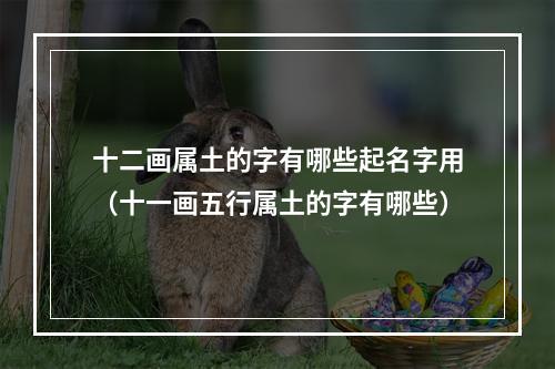 十二画属土的字有哪些起名字用（十一画五行属土的字有哪些）