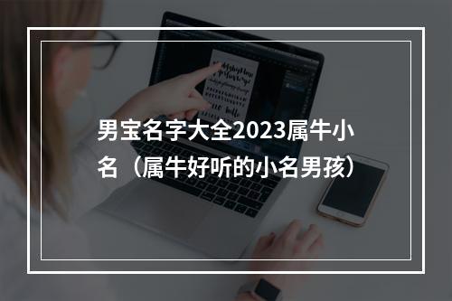 男宝名字大全2023属牛小名（属牛好听的小名男孩）