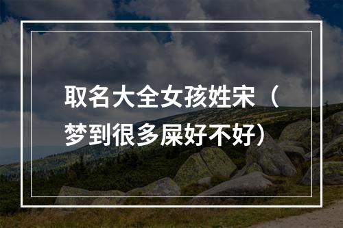 取名大全女孩姓宋（梦到很多屎好不好）